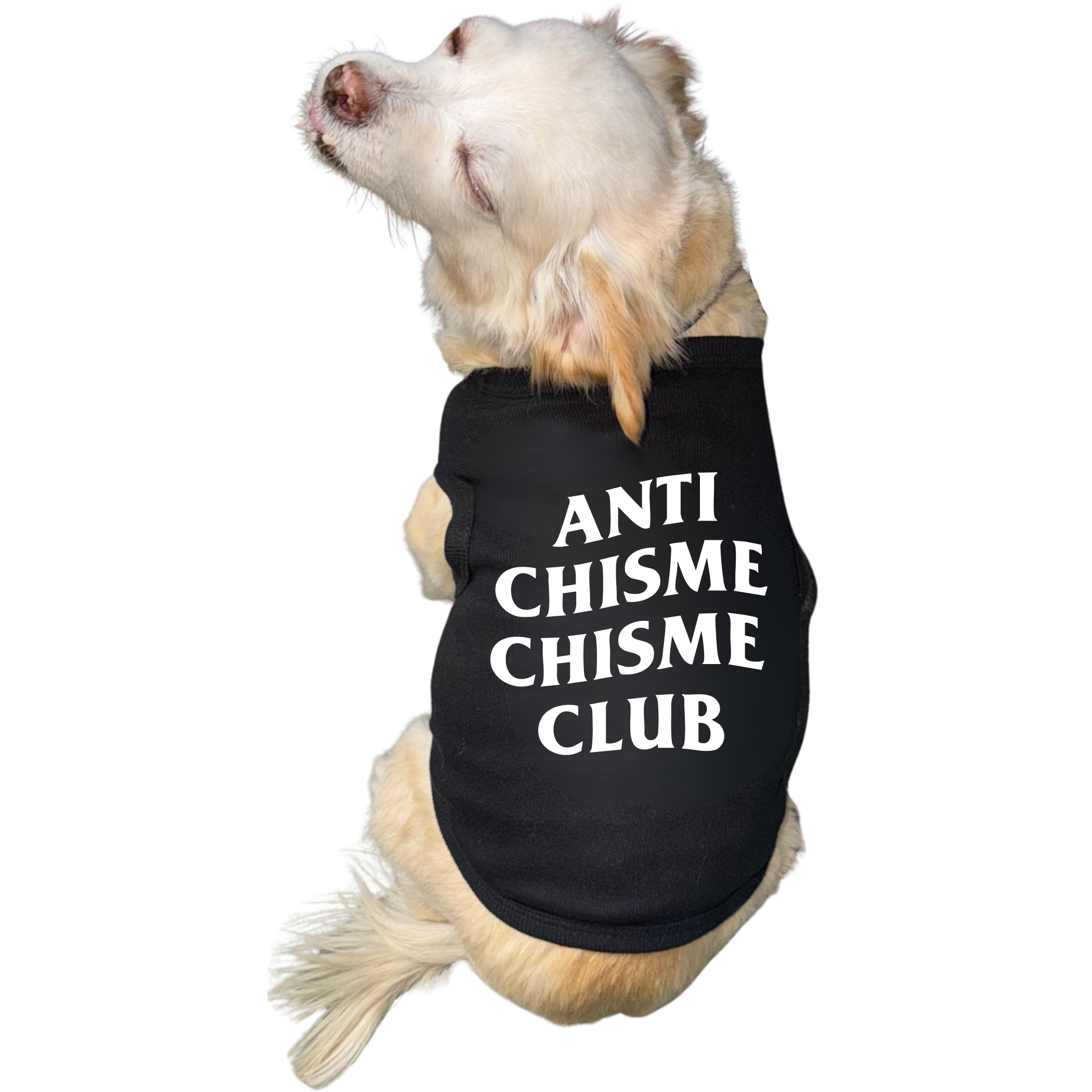 Chisme Club Tee